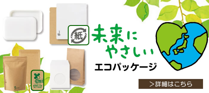 �����ѥå����� �Х����ޥ� �Ѹ���θ����